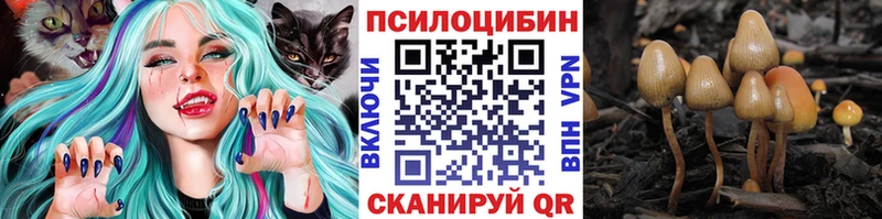 OMG сайт  Новое Девяткино  Псилоцибиновые грибы Cubensis 